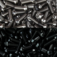 
              Moderne Ducati 10 x Titan-Bremsscheibenschrauben vorne (M8*20) Schwarz / Silber
            